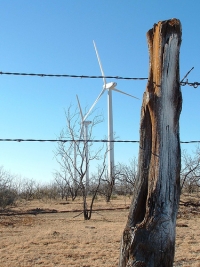 Windfarm